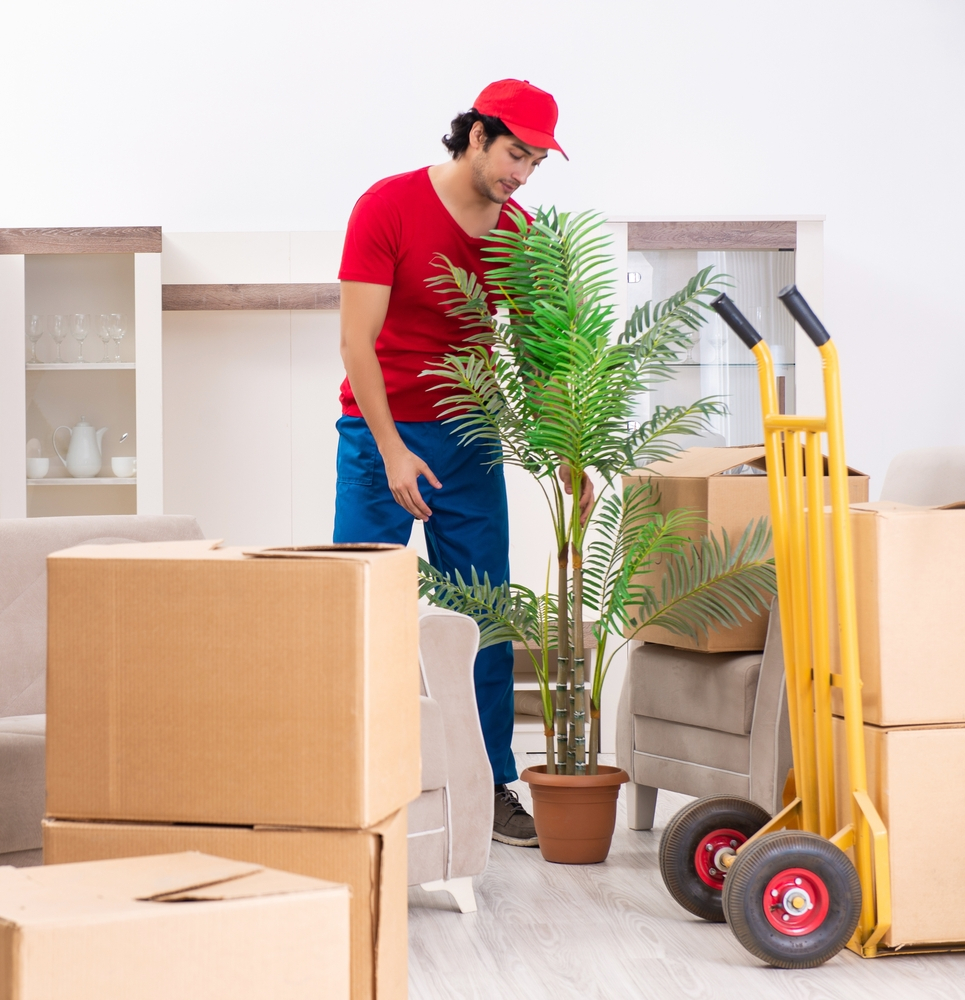 Shree Samarath Packers and Movers Mumbai